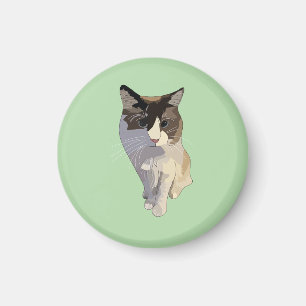 Aimant Chat Ragdoll, vert pastel, vitrail