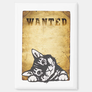 Aimant chat recherché