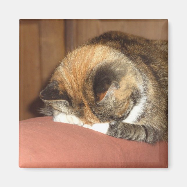 Aimant Chat 'Rouge' dormant sur la toux (Devant)