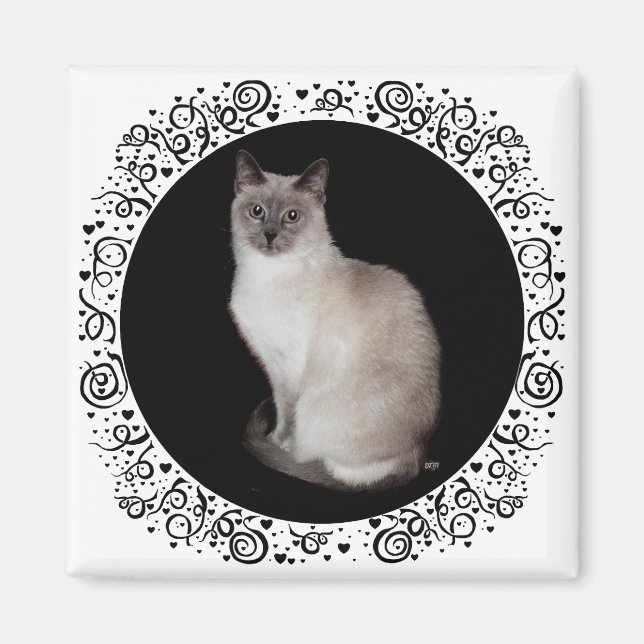Aimant Chat siamois (Devant)