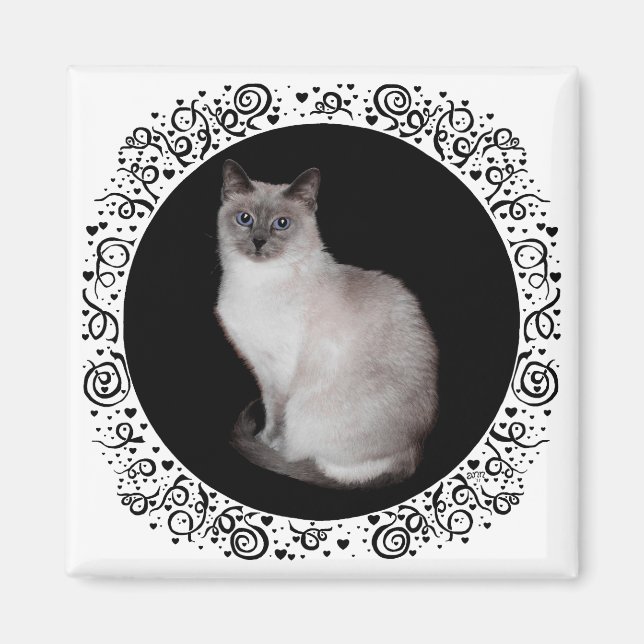 Aimant Chat siamois aux yeux bleus (Devant)