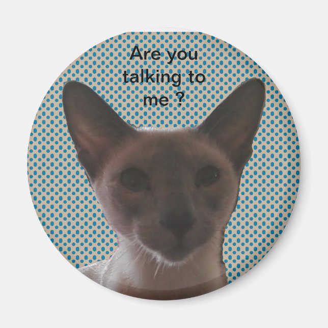 Aimant Chat Silencieux Siamais (Devant)