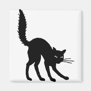 Aimant Chat Silhouette Halloween Chat Noir Peur En Colère