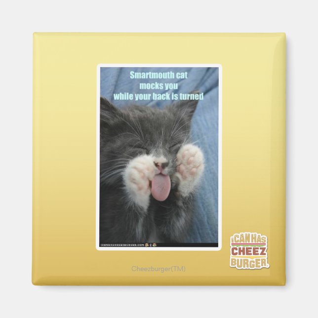 Aimant Chat Smartmouth (Devant)