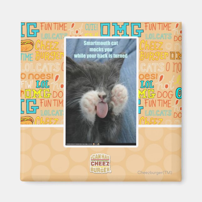 Aimant Chat Smartmouth (Devant)