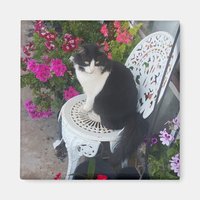 Aimant Chat Smoking élégant Mignon avec de Jolies Fleurs  (Devant)