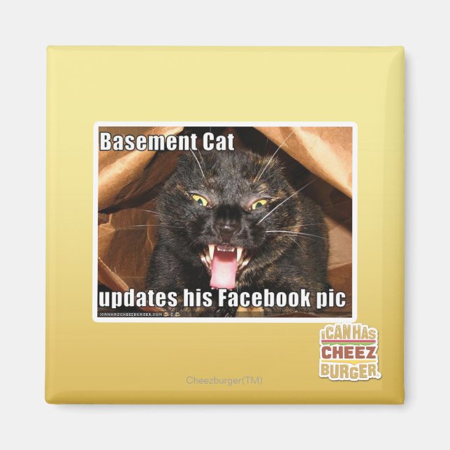 Aimant Chat sous-sol (Devant)