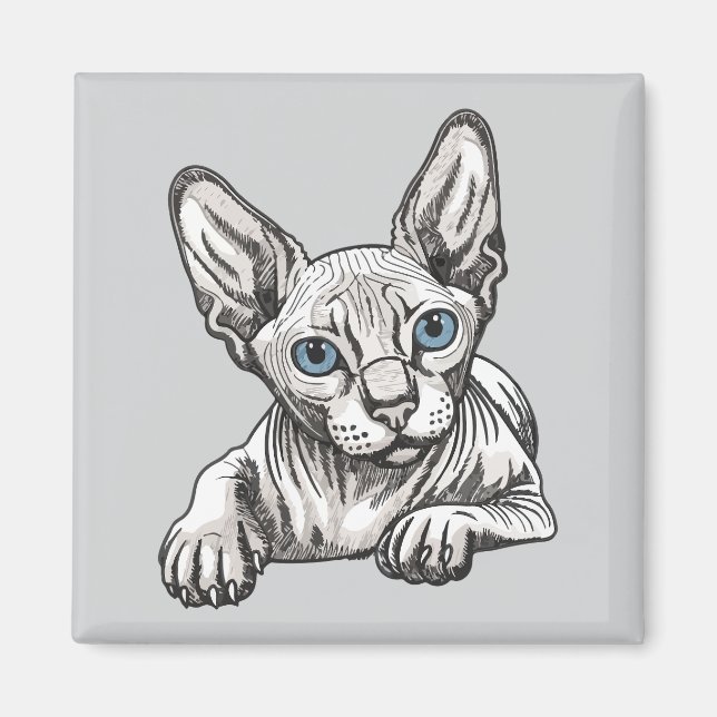 Aimant Chat Sphynx sans poils (Devant)