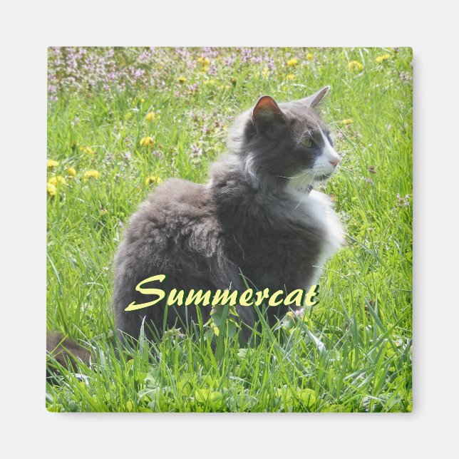 Aimant Chat Sunshine (Devant)