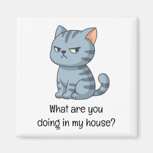Aimant Chat tabby gris grincheux Texte drôle