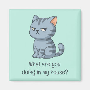 Aimant Chat tabby gris grincheux Texte drôle vert