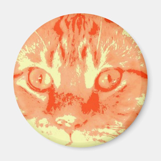 Aimant Chat Tabby Orange (Devant)