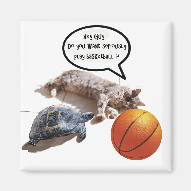 AIMANT CHAT, TORTUE ET BASKETBALL (Devant)