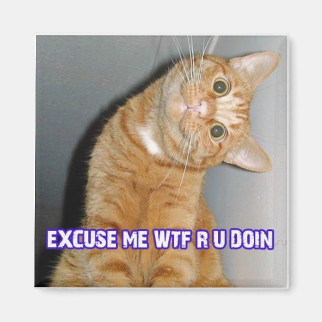 Aimant chat wtf (Devant)