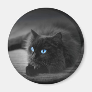 Aimant Chat Yeux Bleu Minuit - 2.25 Rond Frigo