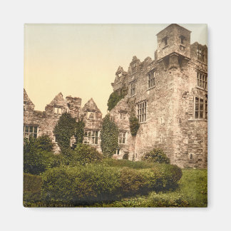 Aimant Château de Donegal, comté de Donegal