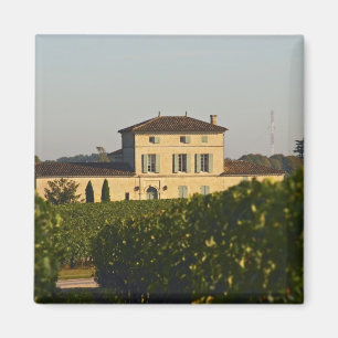 Aimant Château Lafleur Petrus et vignoble, à Pomerol,