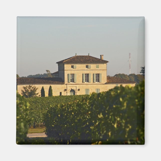 Aimant Château Lafleur Petrus et vignoble, à Pomerol, (Devant)