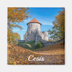 Aimant Château médiéval entouré de forêt