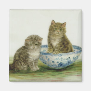 Aimant Chaton dans une cuvette bleue de la Chine
