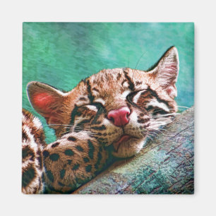 Aimant Chaton mignon d'Ocelot de bébé de sommeil
