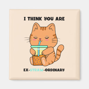 Aimant chaton orange vous êtes extraordinaire mignonne bo