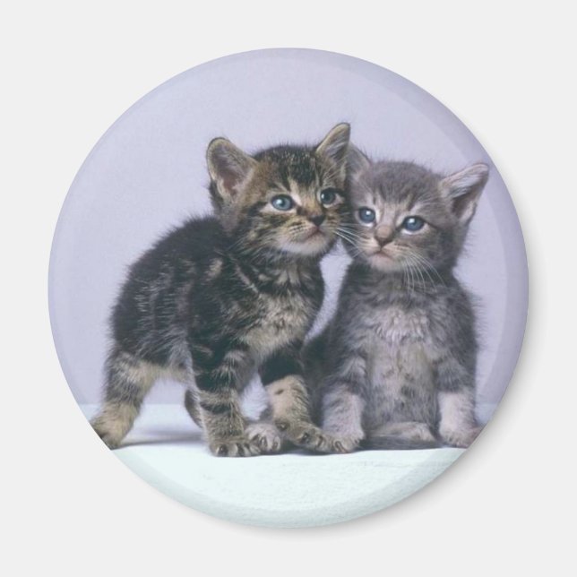 Aimant chatons (Devant)