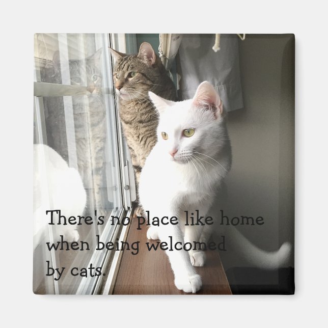 Aimant Chats assis près de la fenêtre (Devant)