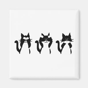 Aimant Chats blancs noirs   Trois chatons