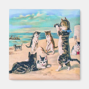 Aimant Chats de plage