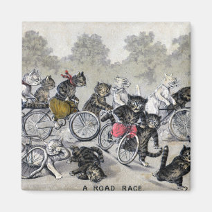Aimant Chats d'équitation de bicyclette