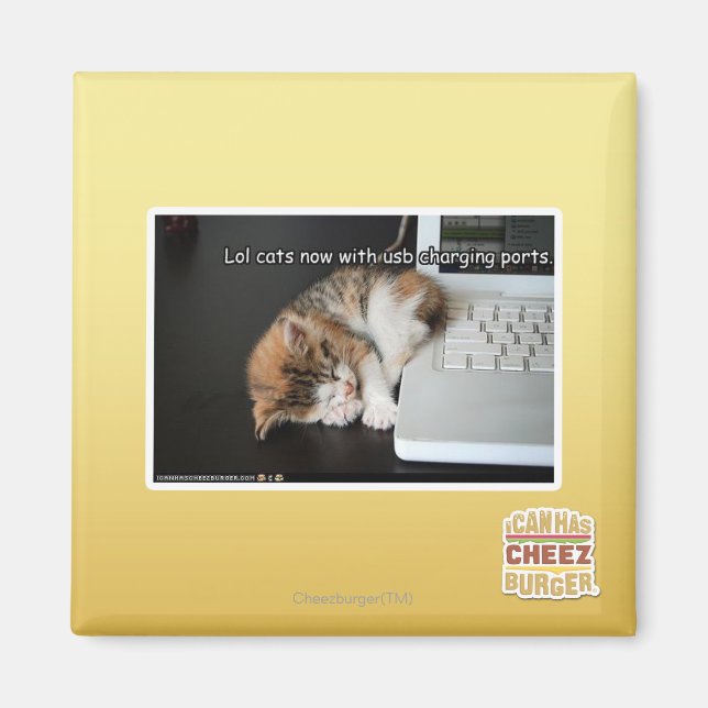 Aimant Chats Lol avec USB (Devant)