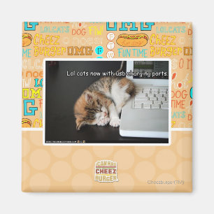 Aimant Chats Lol avec USB