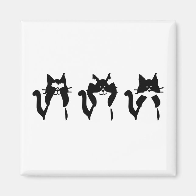 Aimant Chats noirs et blancs | Trois sages minous (Devant)