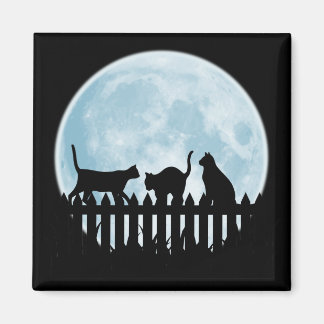 Aimant Chats noirs et Lune bleue