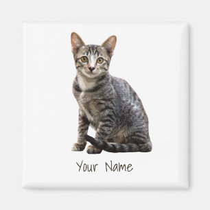 Aimant Chats Portrait Vintage Animat Tomcat Animal Design