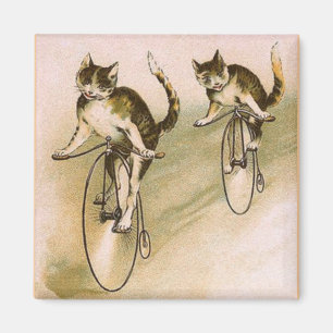 Aimant Chats Vintage sur Vélos