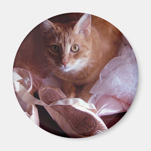 Aimant Chaussures de chat et de ballet (Devant)