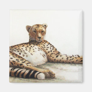 Aimant Cheetah