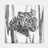 Cheetah Portrait