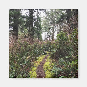 Aimant Chemin de la boucle de la forêt côtière, Cape Disn