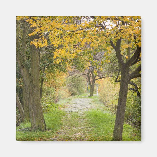 Aimant Chemin en automne (Devant)