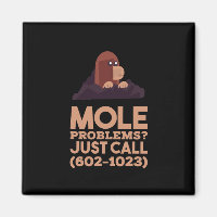 Chemistry - Mole Problems