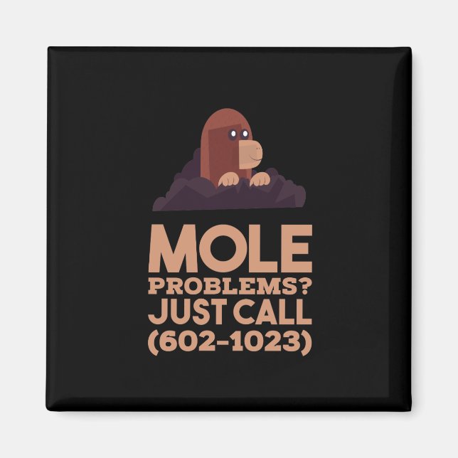 Aimant Chemistry - Mole Problems (Devant)