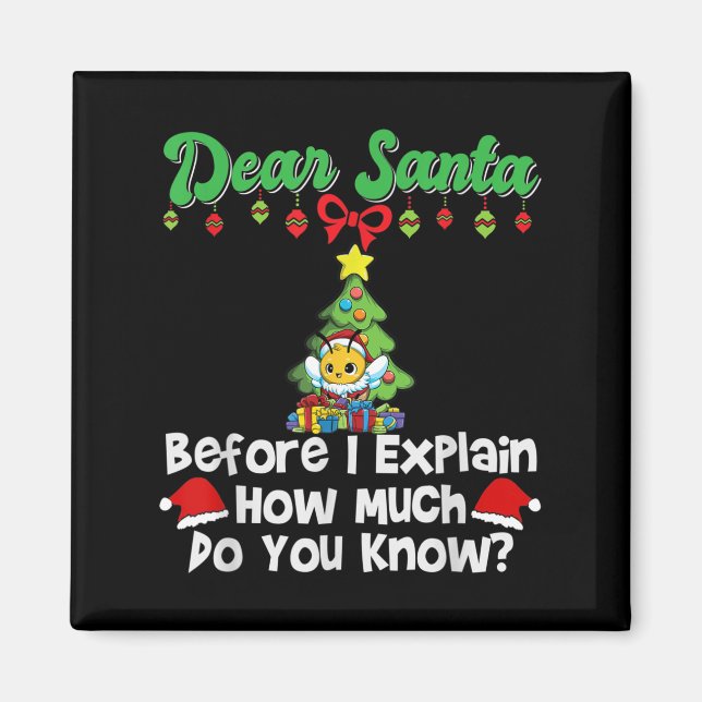Aimant Cher Père Noël Avant D'Expliquer Combien Vous Save (Devant)