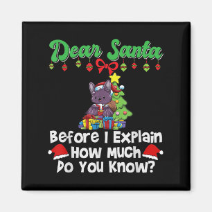 Aimant Cher Père Noël avant que j'explique combien savez-