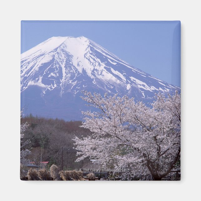 Aimant Cherry Blossom et le mont Fuji (Devant)