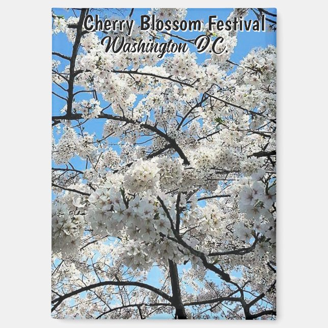 Aimant Cherry Blossom Festival Washington D.C. Souvenir (Recto)