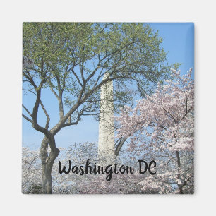 Aimant Cherry Blossoms et le monument de Washington à DC