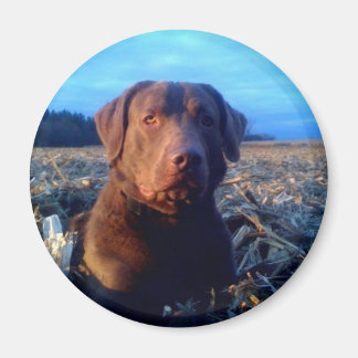 Aimant Chessie